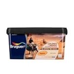 Análisis de los mejores productos españoles inspirados en el colorido Egipto